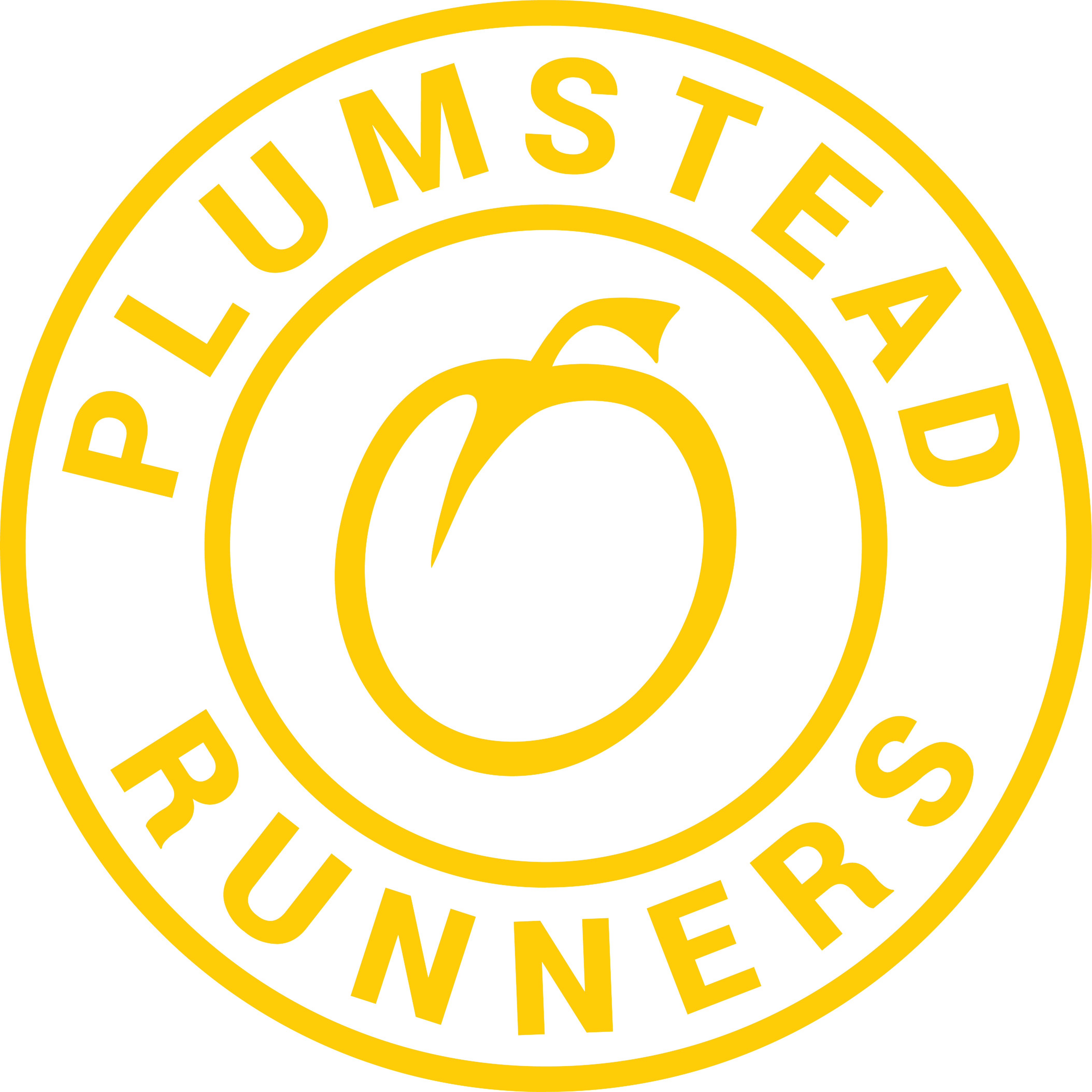 Plumstead Shorts Logo (inc Reflective Strip)